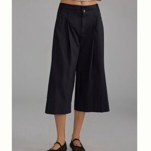 Anthropologie Wide Leg Crop Pants
